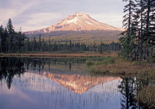 The Political Landscape of Northwest Oregon: A Historical Perspective